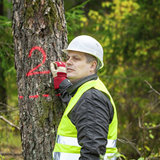 Tree Surgery Gloves